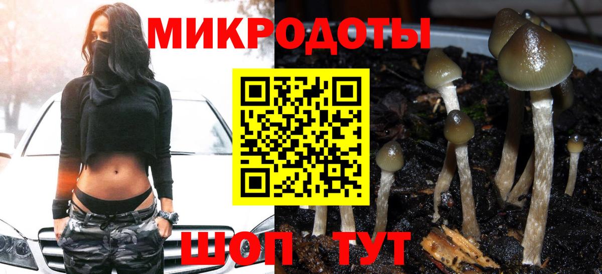 Псилоцибиновые грибы мицелий  Псилоцибиновые грибы Cubensis  Избербаш  Вход с VPN 